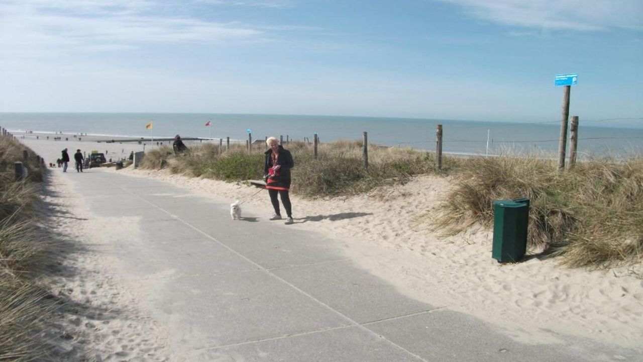 AreaSummer20KM AreaSummer20KM